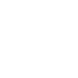 Daffodill Resonance — NTE skill icon | Neverness to Everness