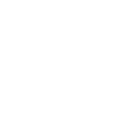 Daffodill Finale — NTE skill icon | Neverness to Everness